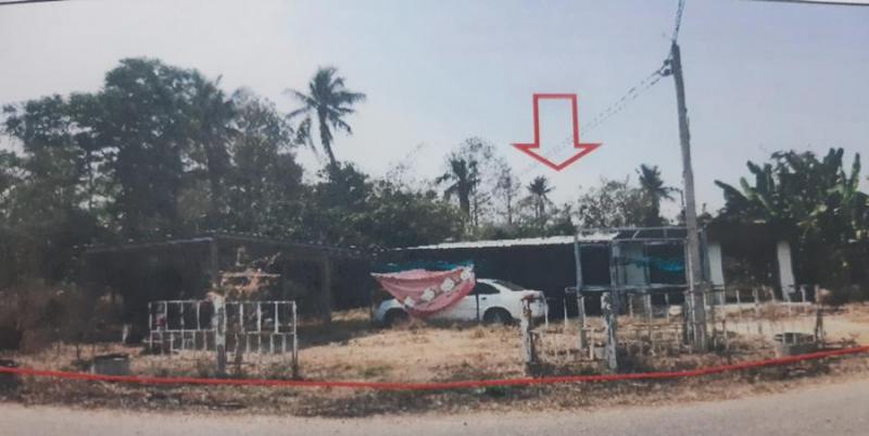 ดงเสือเหลือง โพธิ์ประทับช้าง พิจิตร